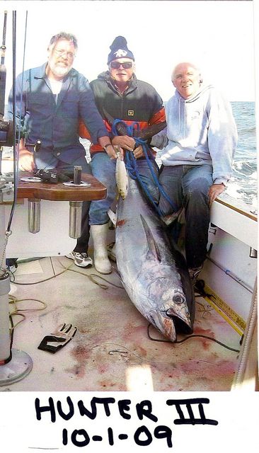 Hunting Tuna